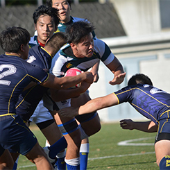 創価大学ラグビー部